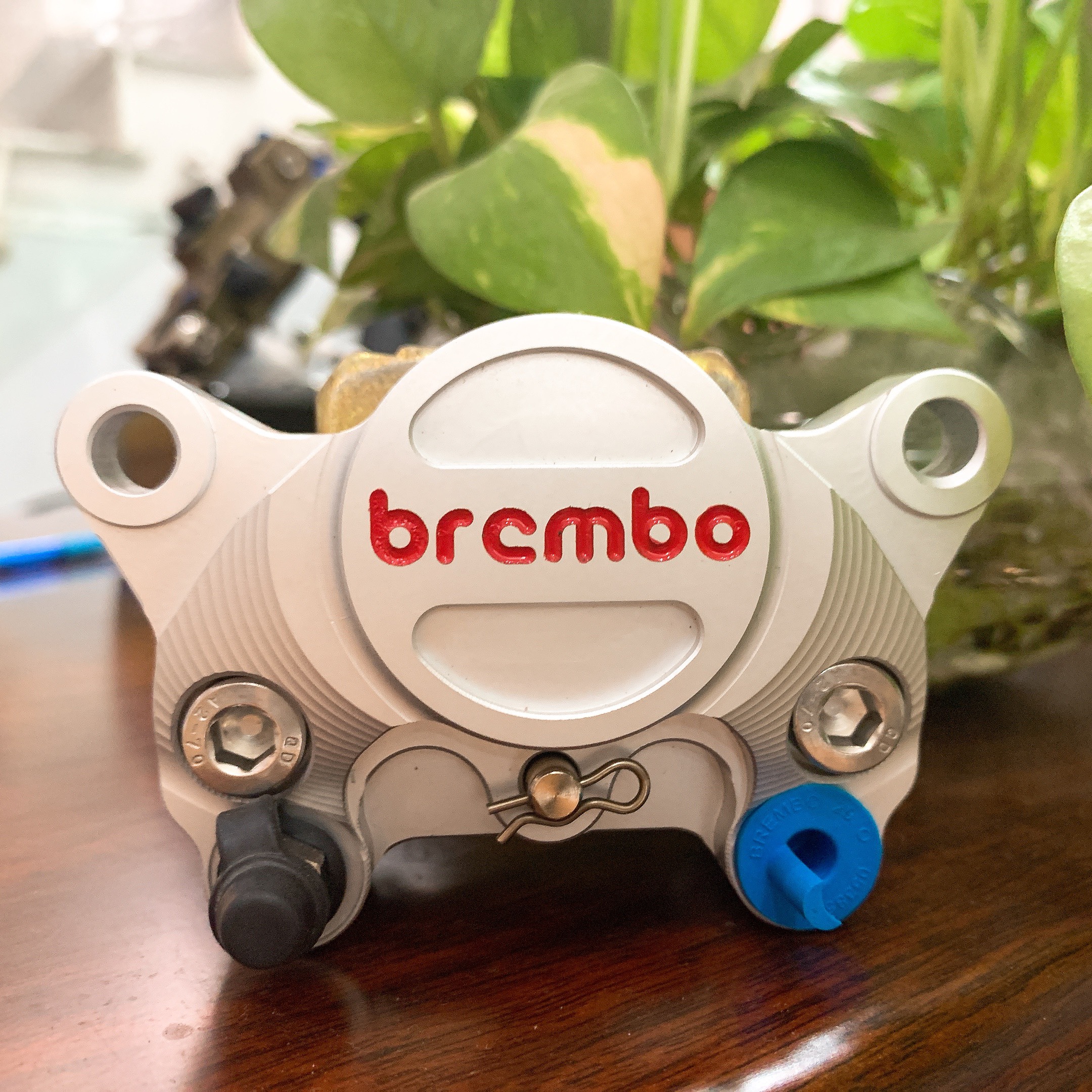 [HCM]Heo dầu BremBo 2 Piston + có pát  dành cho tất cả các dòng xe