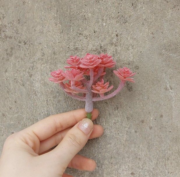 Cây hoa nhựa: Mẫu Sedum vảy ốc đỏ