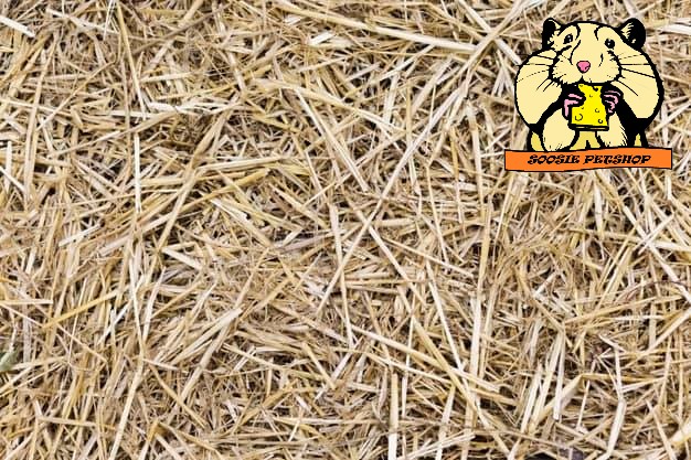 cỏ alfafa khô lót chuồng sóc, thỏ, bọ, hamster, gerbil,...