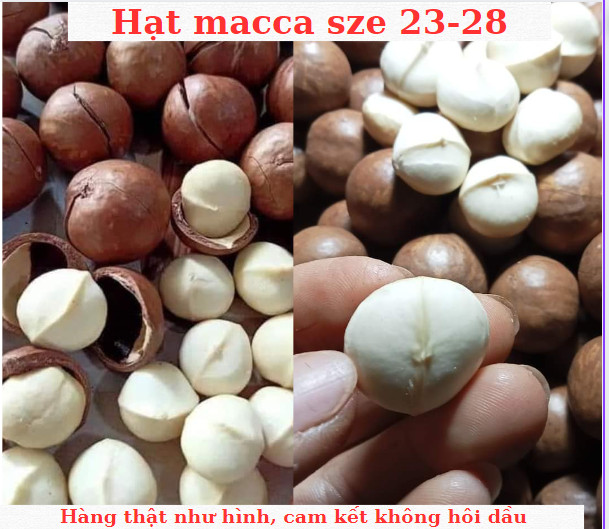 1kg -500 gr Hạt macca nứt vỏ sấy ăn liền size đại tặng kèm khui, hạt macca vụ mới vô túi hút chân không , Hạt mắc ca nứt vỏ xuất xứ Lâm Đồng, loại vỏ mỏng nhân to