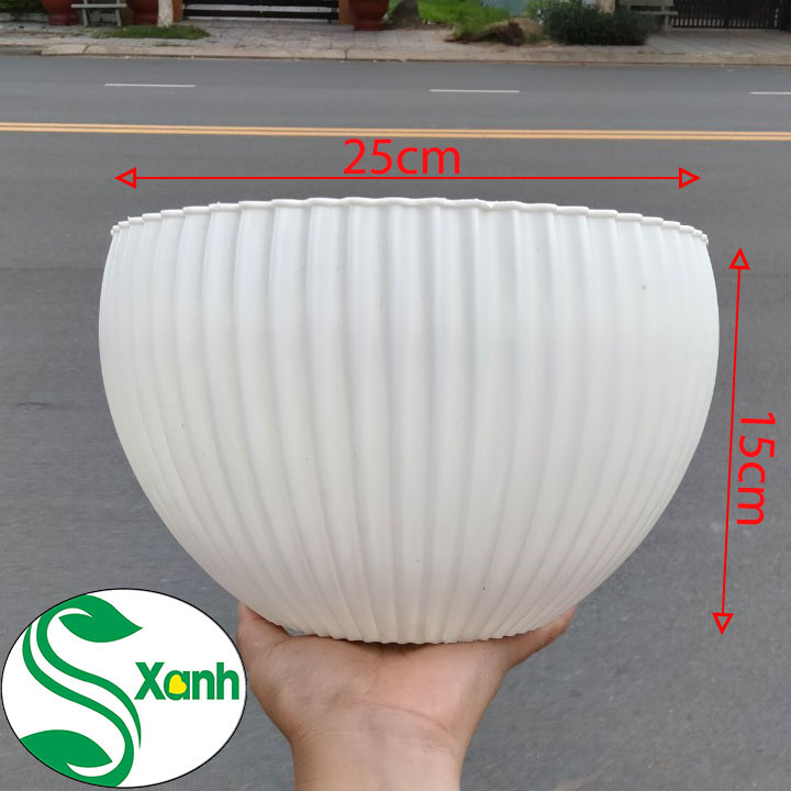 Chậu Nhựa Để Bàn Gân Sọc Trắng 25x15