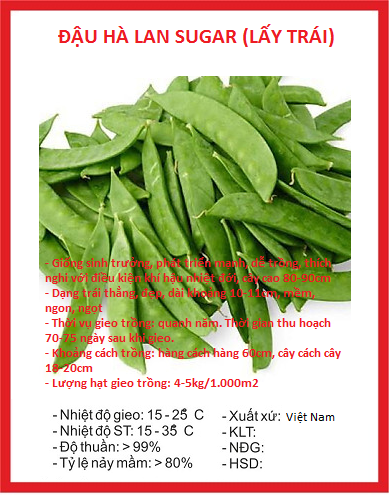 Hạt giống đậu hà lan - Gói 50gram