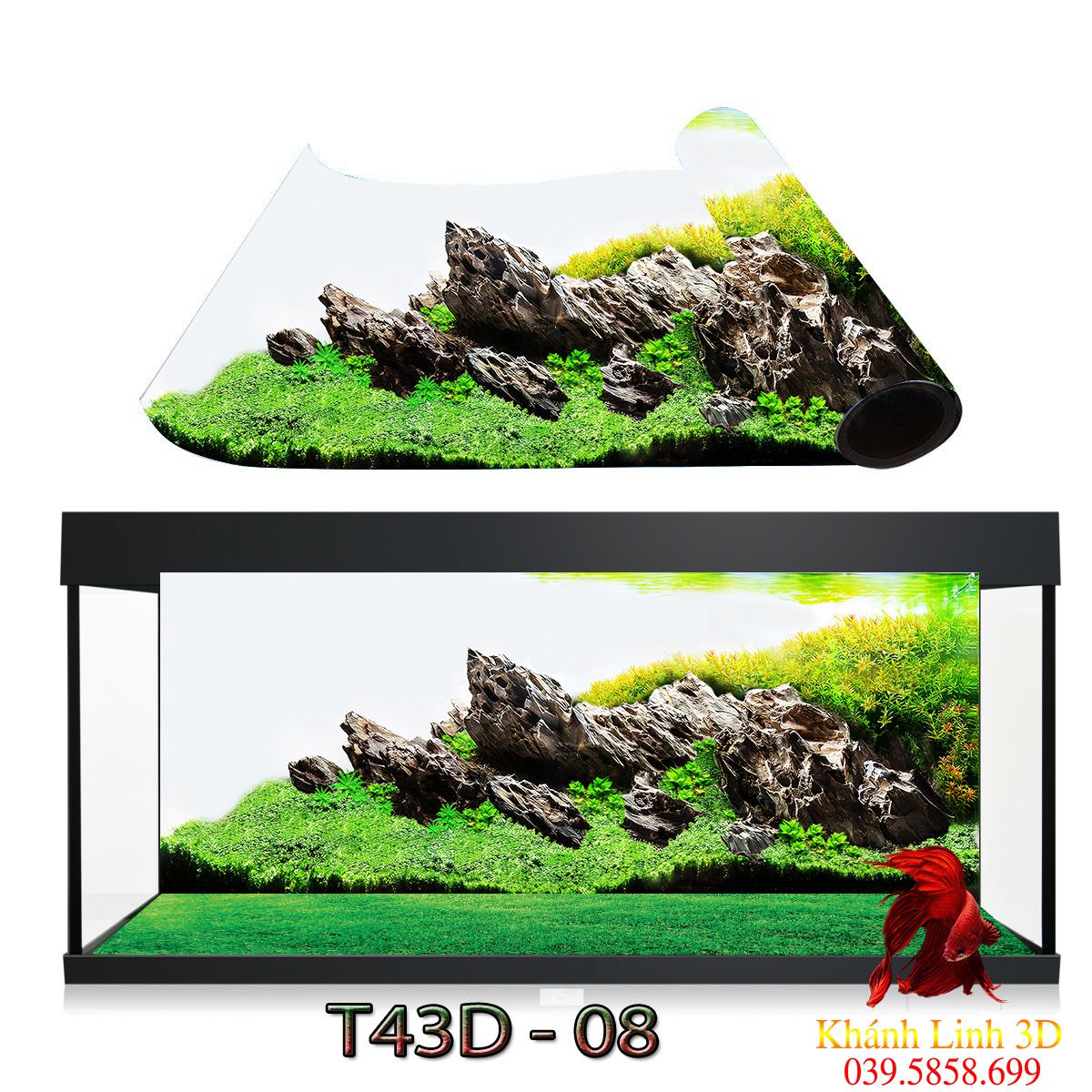 Trang 3D Hồ Cá Giá Rẻ Tháng 8,2023|Biggo Việt Nam