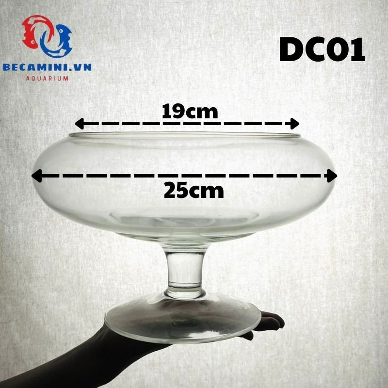 Bể cá để bàn -Bể Cá thủy Tinh Hồ Cá Mini Chậu Cây Có Chân - DC01