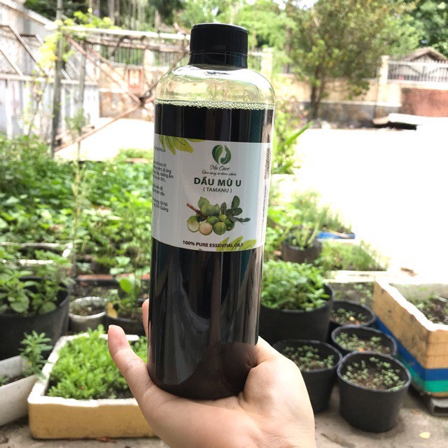 500ml  dầu MÙ U Xanh nguyên chất làm dầu nền massage