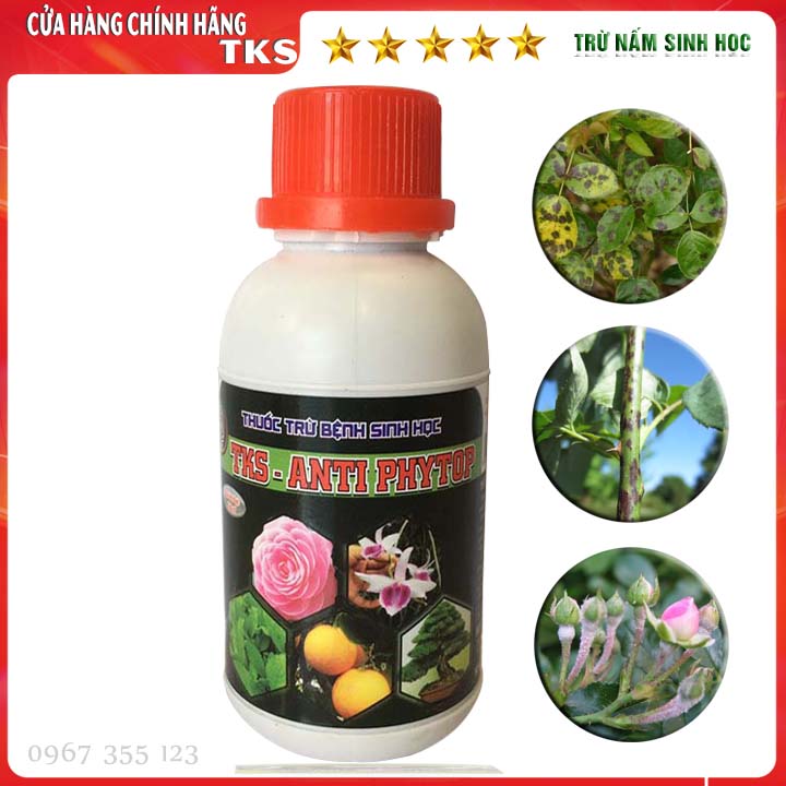TRỪ NẤM BỆNH SINH HỌC Antiphytop: Phòng Trừ Bệnh Vàng Lá Đen Thân, Thối Nhũn, Sương Mai, Phấn Trắng Cho Hoa Hồng Và Cây Cảnh - Chai 100 ml