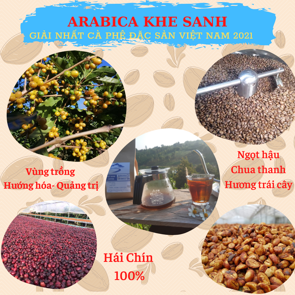 Cà phê Arabica Khe Sanh rang mộc 100%