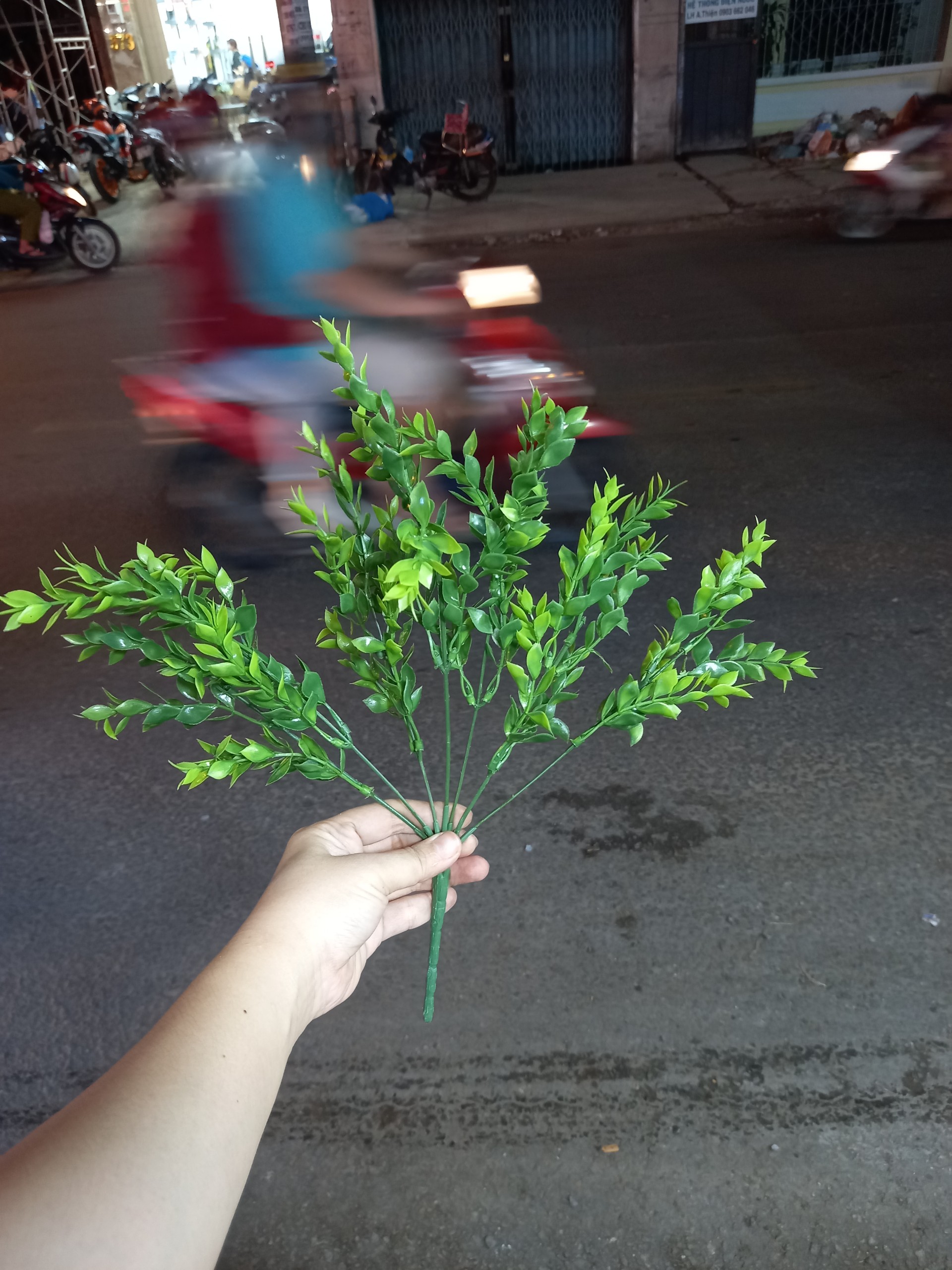 [HCM]1 Bụi lá sam giả 7 nhánh 30cm - Hoa giả - Hương Flower