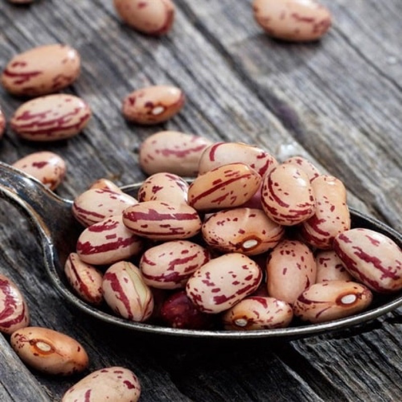 1kg đậu cúc ấn độ