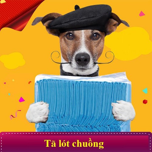 [HCM]( lẻ 10 Miếng) Tã lót chuồng siêu thấm - Tã lót khay vệ sinh cho Chó Mèo Thú Cưng đi đúng chỗ- Tấm lót sàn xe vệ sinh - Chăm sóc Thú Cưng
