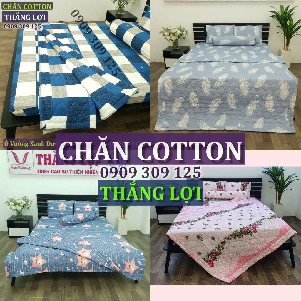 Chăn mền cotton Thắng lợi mềm mát không xù lông in logo CTY