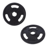 Bộ 2 tạ MIẾNG gang 10kg (Đen)