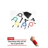 Bộ dây đàn hồi tập thể hình Zeno + tặng băng chăn mồ hôi tay
