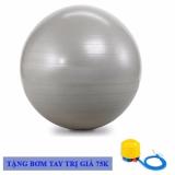 Bóng tập thể dục và gym 65cm da trơn + Tặng bơm tay mini