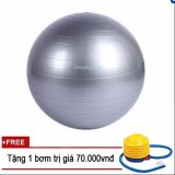 Bóng tập Yoga+ Kèm bộ dụng cụ bơm hơi  TPS Trơn 75CM (Màu Ghi)