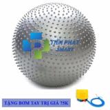 Bóng tập Yoga và massage Gym cao cấp+ Kèm bộ dụng cụ bơm hơi TPS Gai 75CM