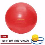 Bóng Yoga Trơn Cao Cấp 75cm (Tặng bơm hơi) - Đỏ - TPS