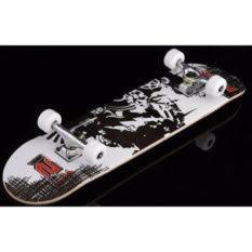 ván trượt skateboad cao cấp