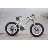 Xe Đạp Bánh To Foreknow Vành 20 - Thương Hiệu Đài Loan - Khung Hợp Kim Thép - Bộ chuyển động MicroShift 21 Tốc Độ