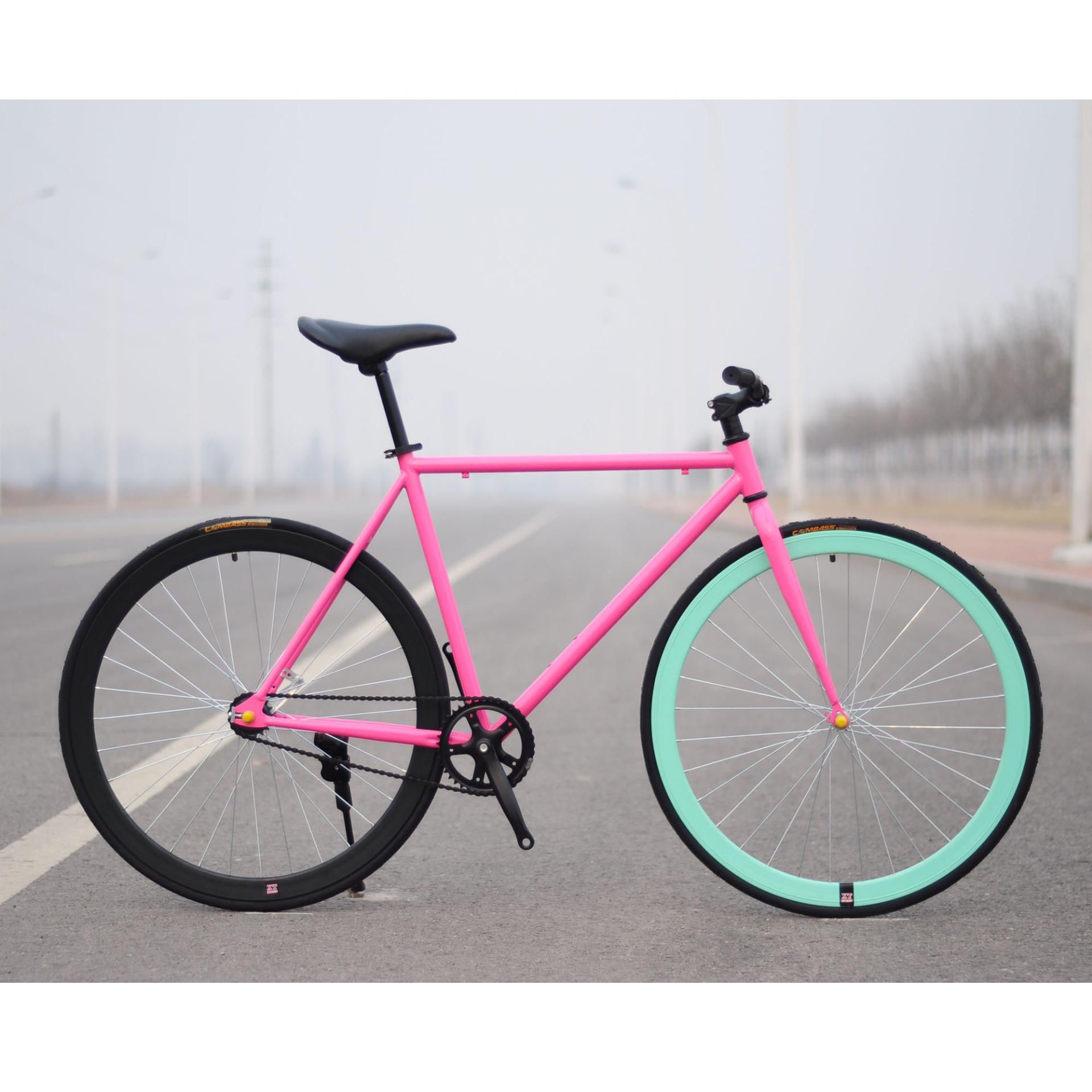 Xe đạp Fixed Gear Single Speed (Hồng vành đen xanh)