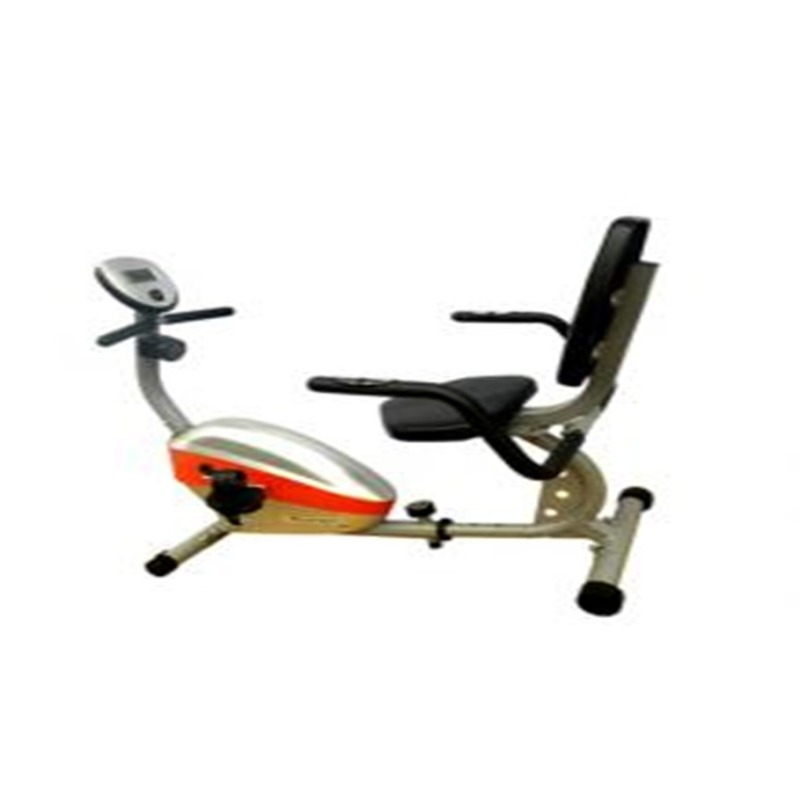 Bảng giá Xe đạp tập thể dụcRoyal-561D