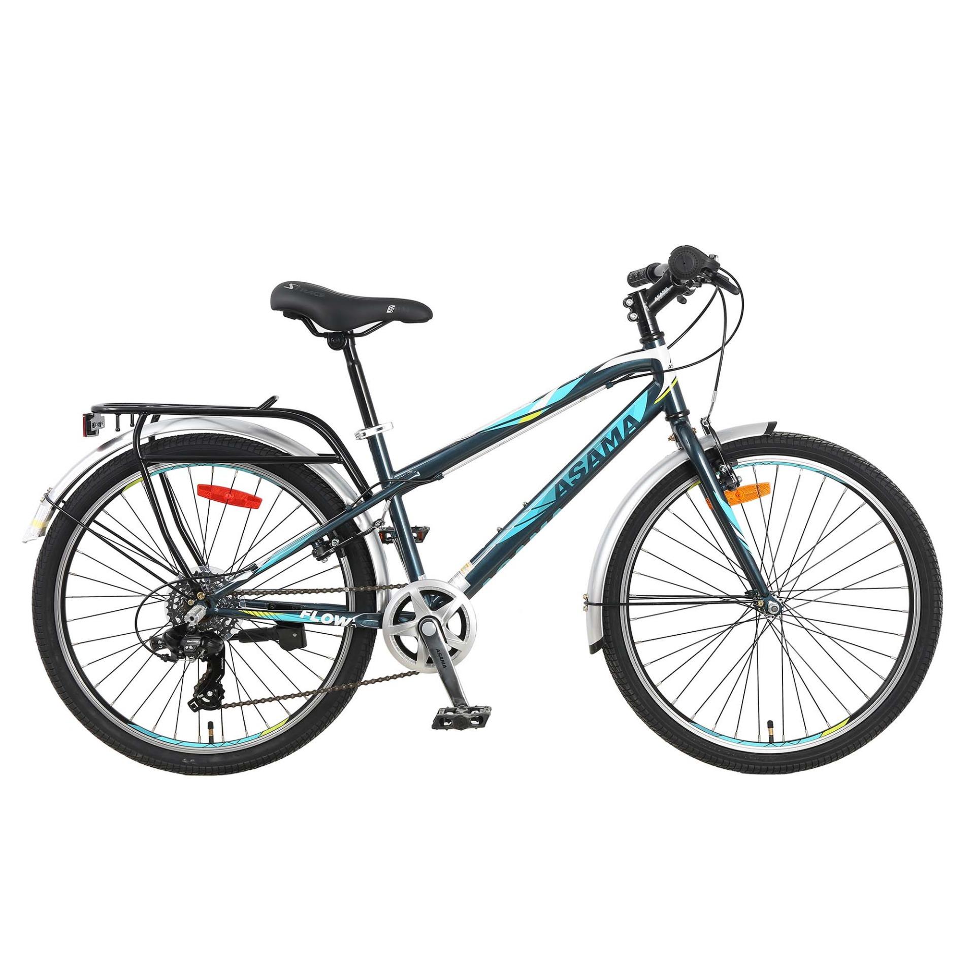 Xe đạp thể thao Asama TRK - FL 2401( XÁM )