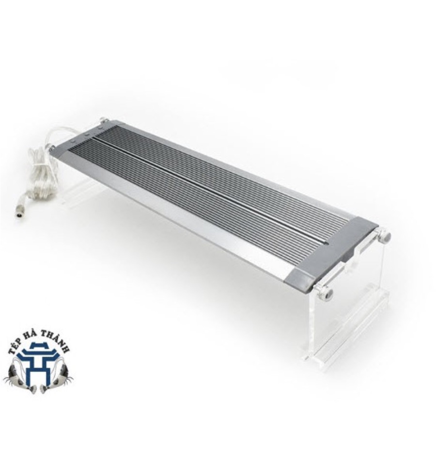 Đèn led week raptor wrgb v450