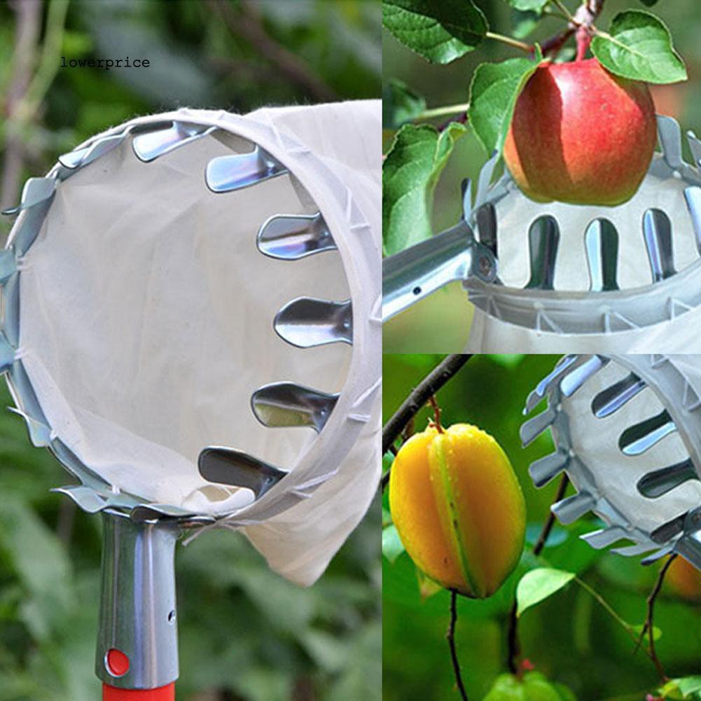 [HCM]Dụng cụ hái trái cây đa năng 16cm Dụng Cụ Hái Trái Cây Hái Quả Đa Năng  Dụng cụ hái quả