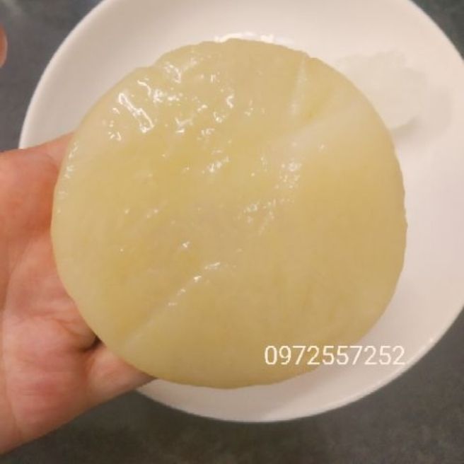 Scoby NẤM KHOẺ, TRÀ NGON con men làm trà thủy sâm kombucha