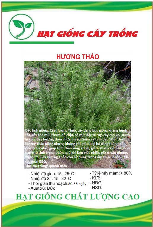 Hạt giống cây hương thảo rosemary / gói 20 hạt