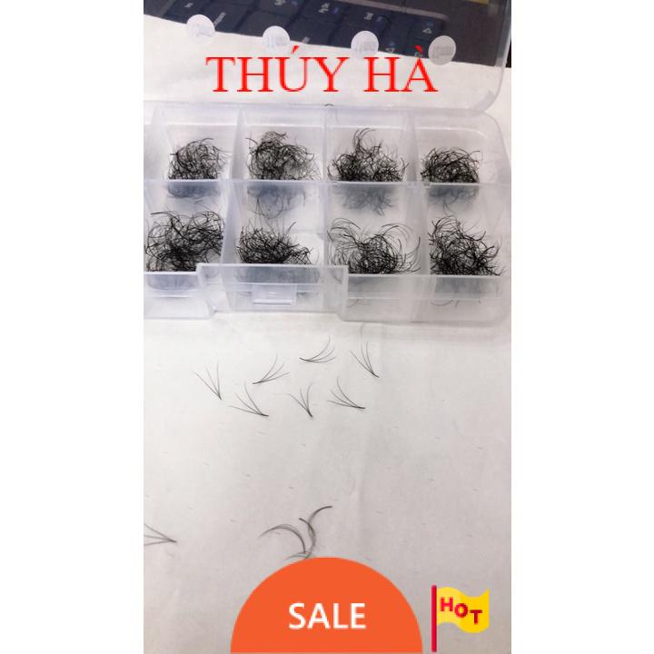 Mi fan 3d mix cong c-d hộp 1000 fan_dụng cụ nối mi_thúy hà