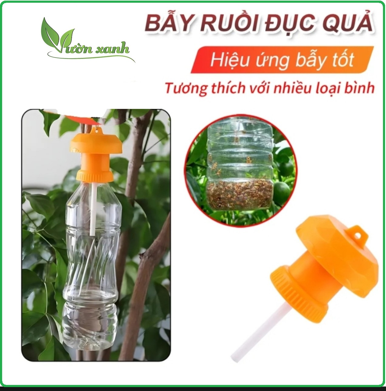 Bẫy ruồi đục trái thông minh, hiệu quả -- bẫy ong vàng chích quả