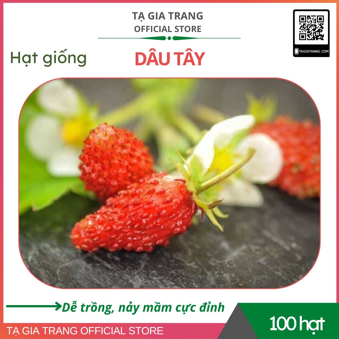Hạt giống dâu tây - gói 100 hạt