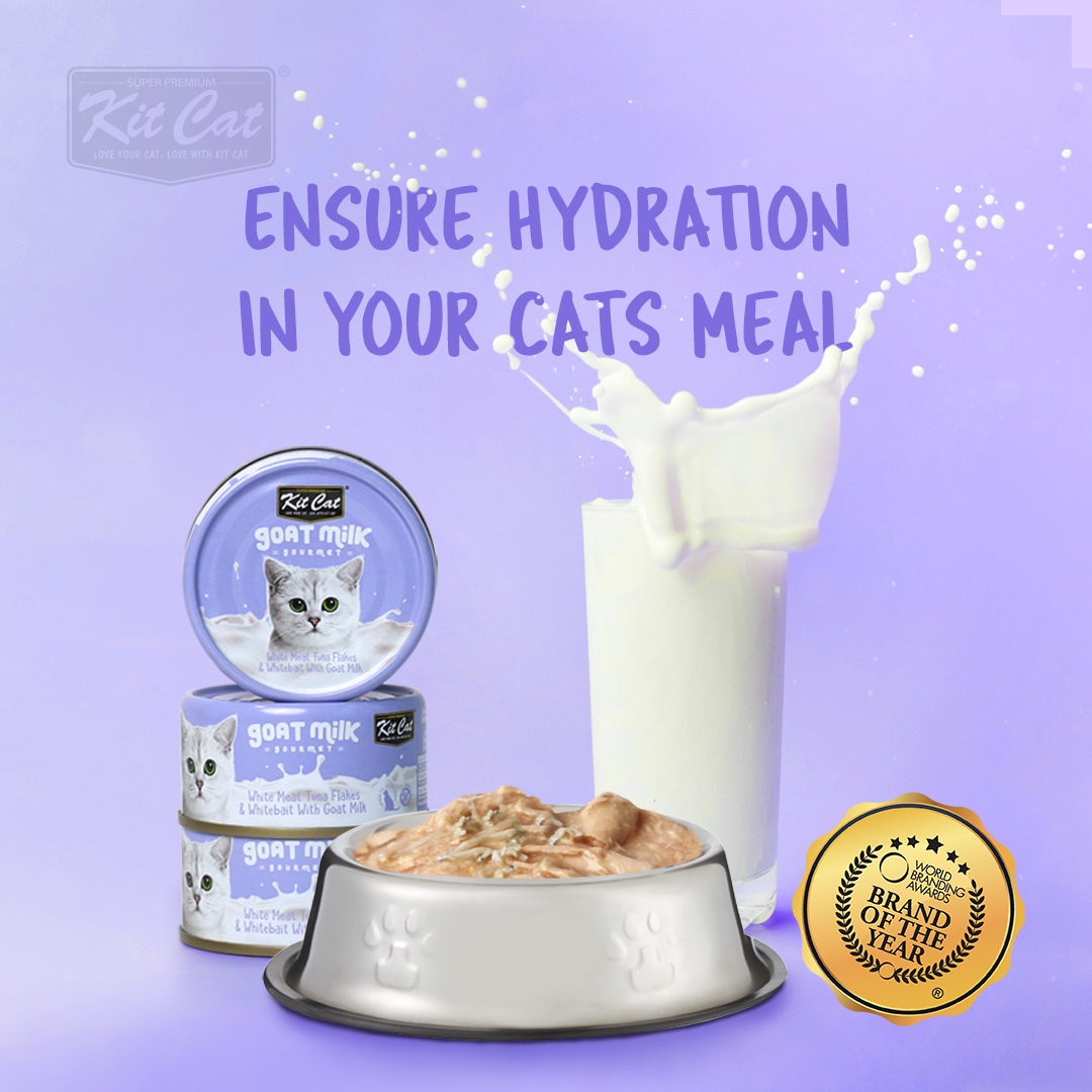 PATE SỮA DÊ KITCAT