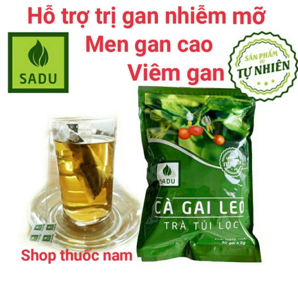 Trà túi lọc cà gai leo Sadu bịch 250g ( 50 túi lọc)- mát gan- thải độc gan-hạ men gan-ức chế virus