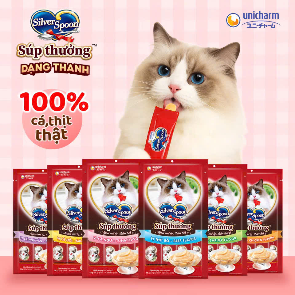 [ COMBO SÚP THƯỞNG ] Súp thưởng Silver Spoon dạng thanh cho mèo thơm ngon,dinh dưỡng,đủ vị.