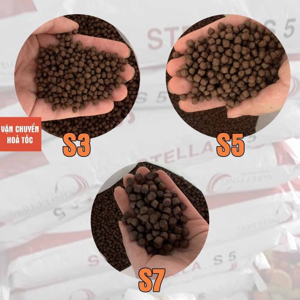 [1KG] Cám Cá Chép KOI STELLA S2|S3|S5|S7 42% Đạm Viên Nổi-Thức Ăn Cá STELLA Cho cá chép,koi,cá lóc