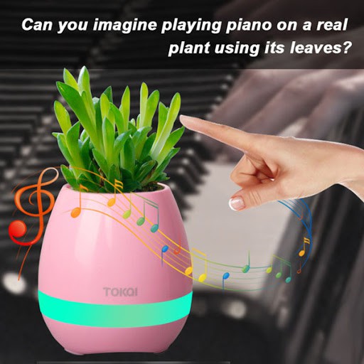 Loa nghe nhạc bluetooth kiêm chậu trồng cây - chơi nhạc piano
