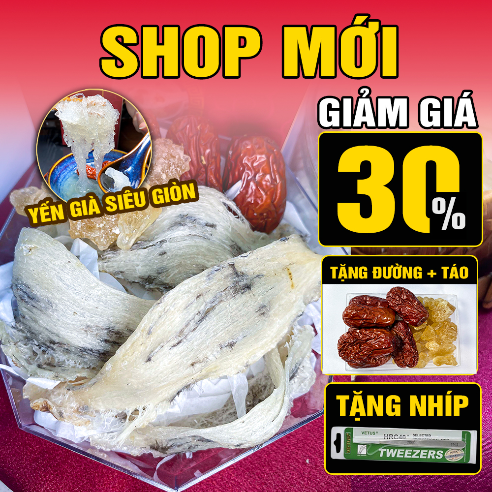 3 tổ yến thô ít lông khánh hòa già loại 1 - yến sào khánh hòa inest