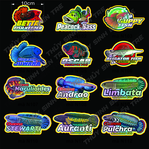 sticker - tem dán cá lóc cảnh 10cm - trang trí hồ cá theo phong cách indo - màu sắc bắt mắt - 1