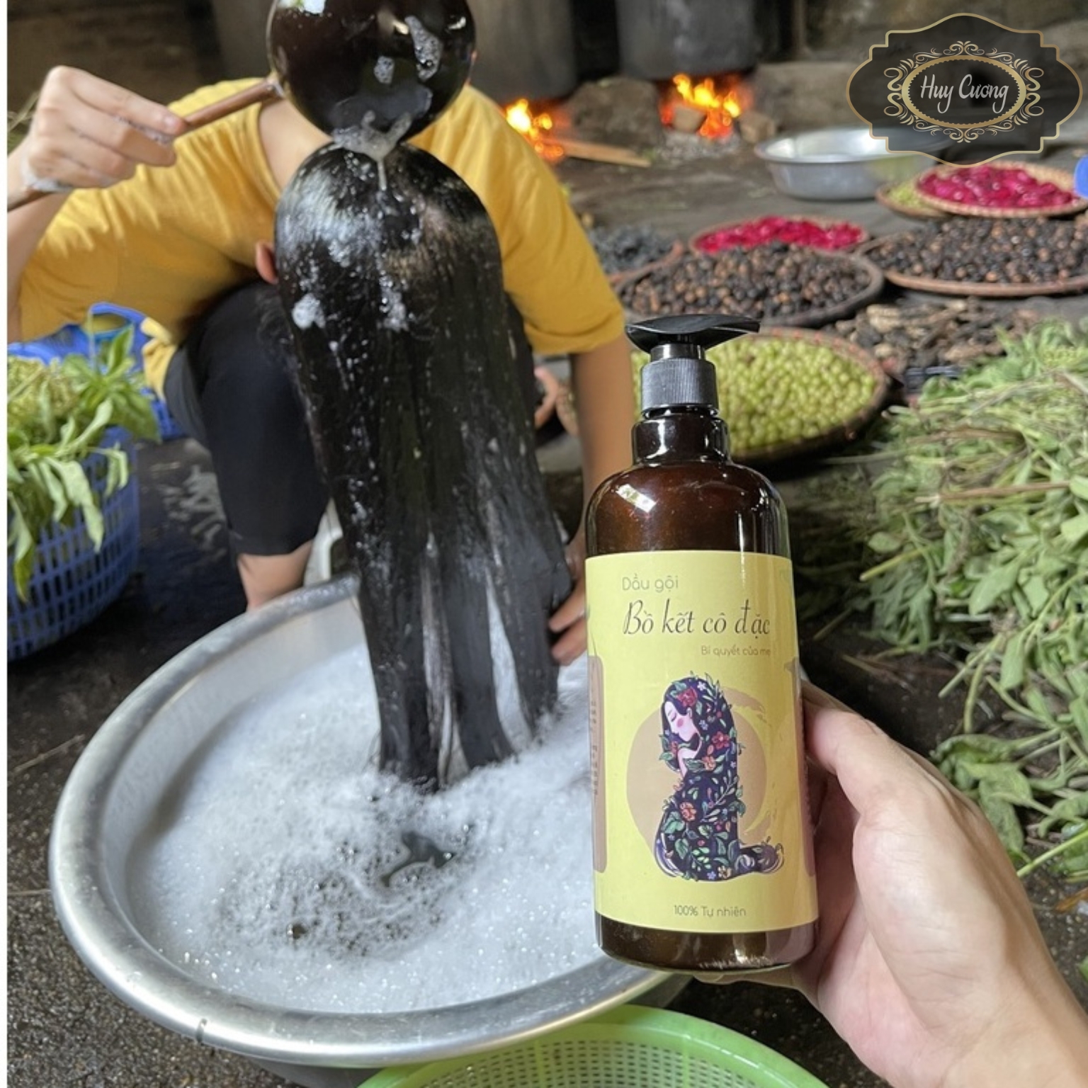  Dầu gội đầu bồ kết cô đặc kết hợp dược liệu gồm thảo dược thiên nhiên hà thủ ô sả chanh gừng hoa bưởi vỏ bưởi dưỡng tóc ngăn rụng tóc chai 500 ml - Handmade 