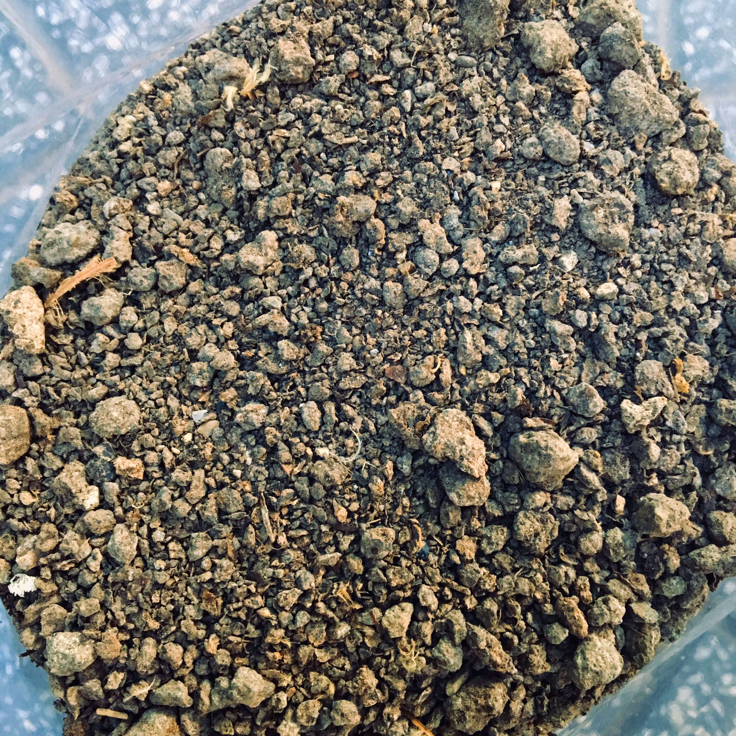 2kg Phân Gà Khô Ủ Hoai, Đã Qua Xử Lý, Phân Gà Hữu Cơ, Vi Sinh Trồng Rau Sạch