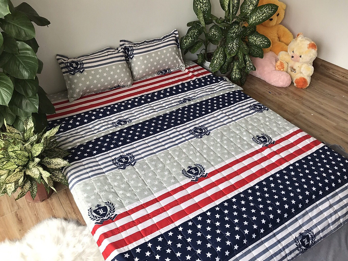 Bộ chăn ga 5 món poly mã 04 kèm chăn trần bông cao cấp thời trang Everest