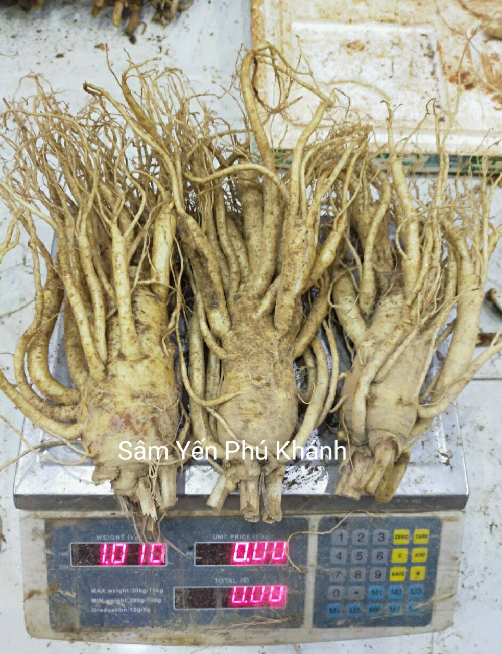 Sâm Tươi Hàn Quốc 6 Năm Tuổi 3 Củ- 1kg, Nhân Sâm Hàn Quốc, chống mệt mỏi, bồi bổ sức khỏe, minh mẫn, sảng khoái, sâm hàn quốc, nhân sâm tươi hàn quốc, sâm tươi hầm gà, sâm tươi ngâm mật ong , Sâm Yến Phú Khánh
