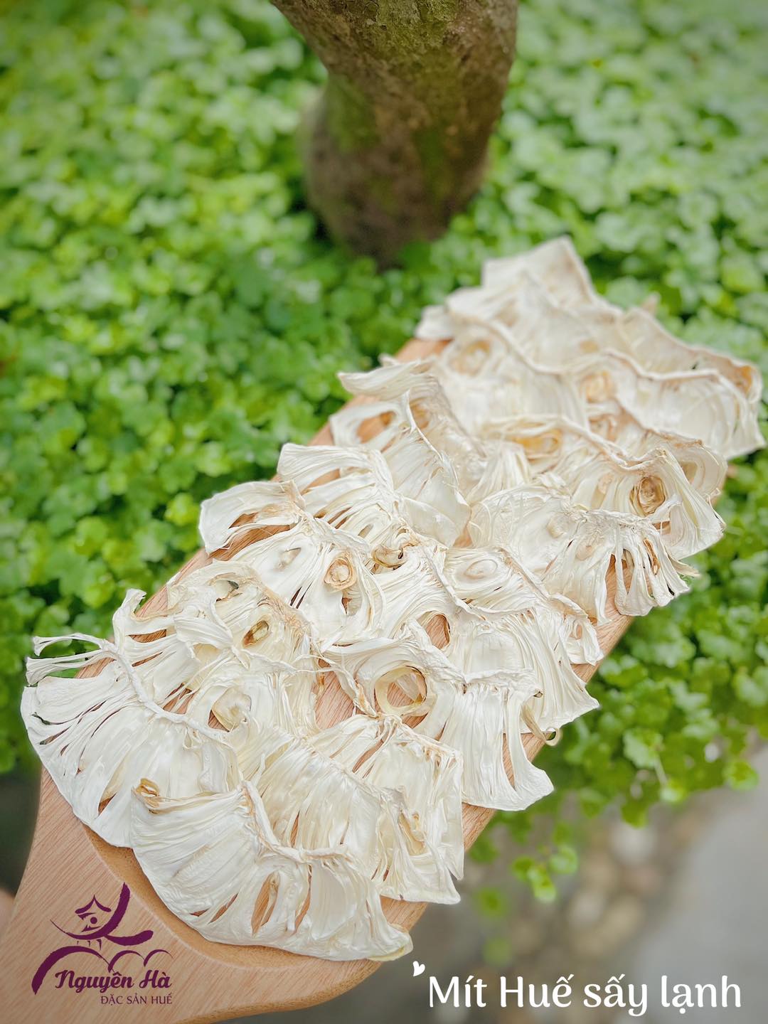 Mít non Huế sấy lạnh