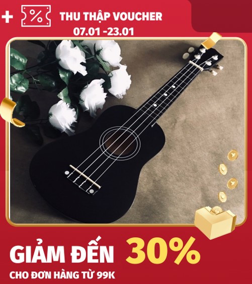 Đàn Ukulele Concert Gỗ Sơn Màu