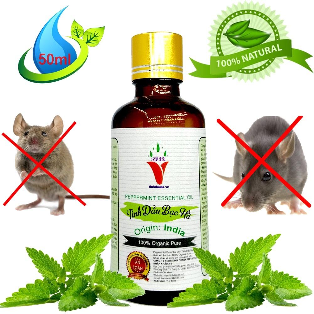 Tinh dầu bạc hà thiên nhiên nguyên chất | organic pure | 50ml | ấn độ