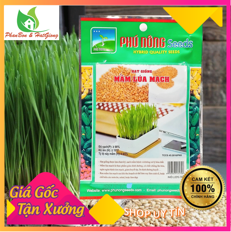 Hạt Giống Mầm Lúa Mạch, Cỏ Lúa Mì Dễ Trồng, Thơm Ngon, Nhanh Thu Hoạch - Gói 100gr Phú Nông Seeds - Shop Phân Bón, Hạt Giống Rau Củ Quả, Xơ Dừa, Mùn Dừa, Đất Sạch Trồng Rau, Hoa Hồng, Hoa Mai, Cây Cảnh Tp. Hồ Chí Minh