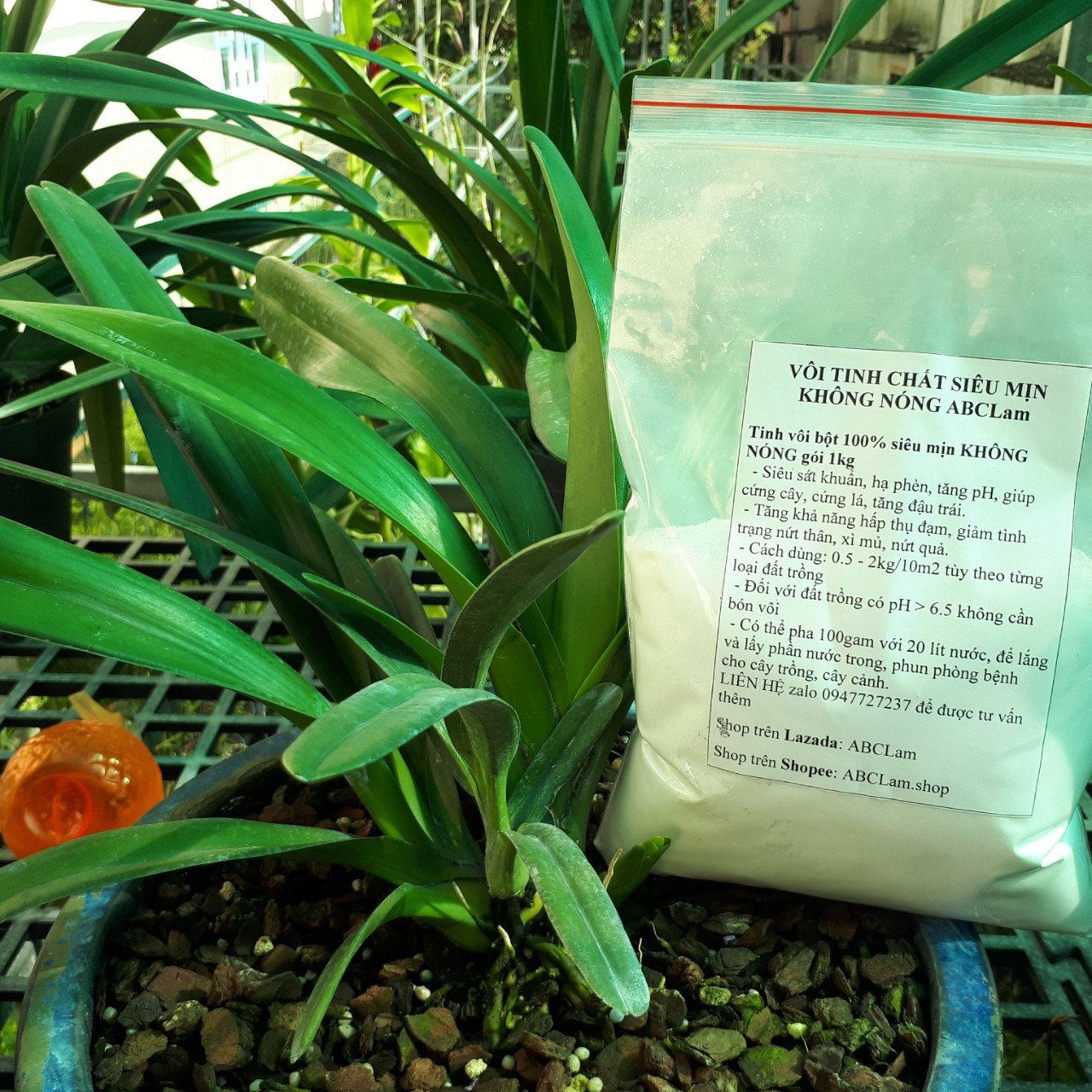 VÔI TINH CHẤT SIÊU MỊN KHÔNG NÓNG ABCLam-Vôi Bột Bón Trực Tiếp,Sát Trùng,Cải Tạo Đất
