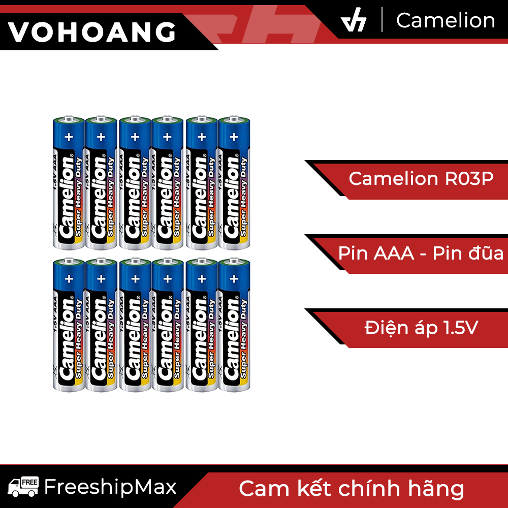 12 pin aaa camelion r03p